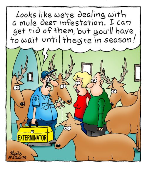 'Looks like we're dealing with a mule deer infestation. I can get rid of them, but you'll have to wait until they're in season!'