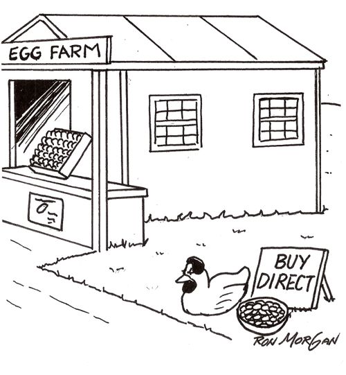 Hen sells her eggs direct at egg farm.