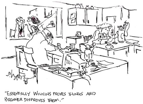 'Essentially Wilkins proves things and Brenner disproves them.'