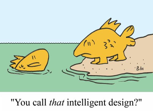 'You call THAT intelligent design?'
