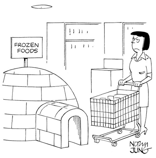 Woman shopping for groceries see frozen food display in an igloo.