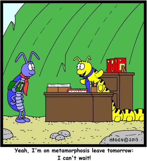 Yeah, I'm on metamorphosis leave tomorrow: I can't wait!'