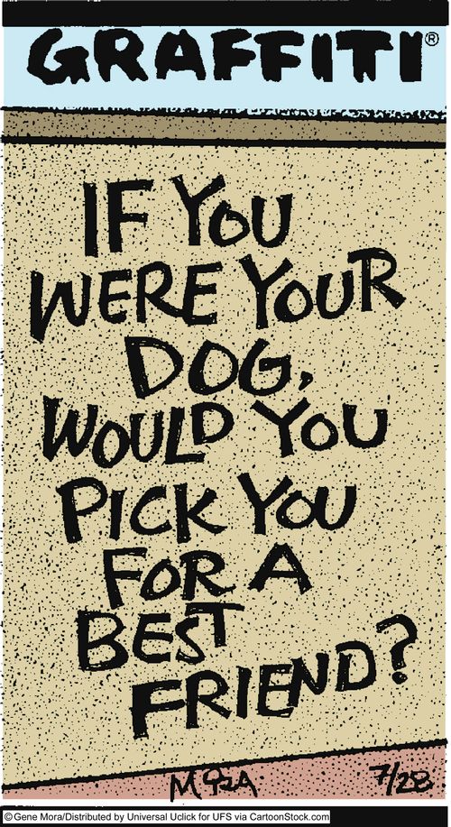 'If you were your dog, would you pick you for a best friend?'