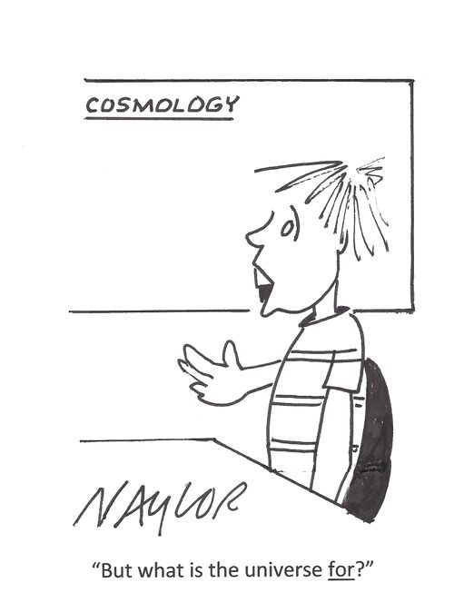 'But what is the universe for?'