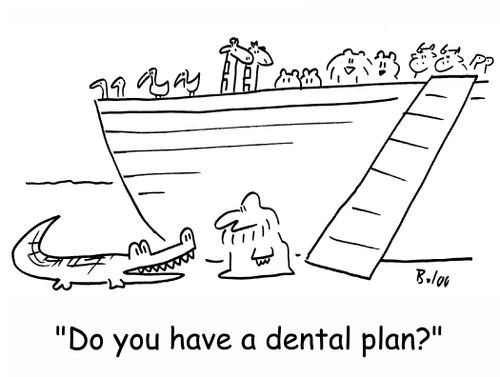 'Do you have a dental plan?'