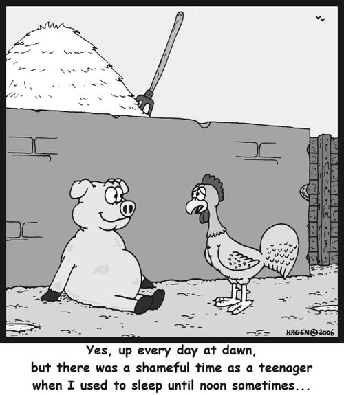 'Yes, up every day at dawn, but there was a shameful time as a teenager when I used to sleep until noon sometimes...'