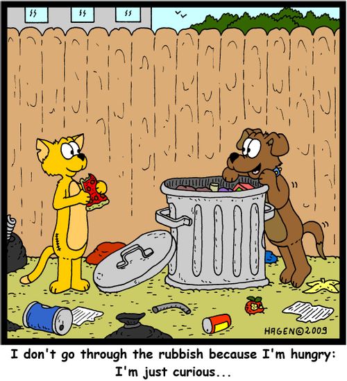 'I don't go through the rubbish because I'm hungry: I'm just curious...'