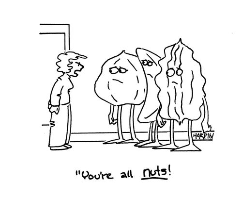 'You're all nuts!'
