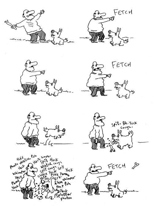 Man and his dog playing fetch