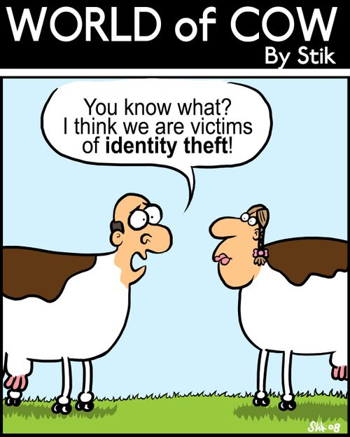 You know what? I think we are victims of identity theft!