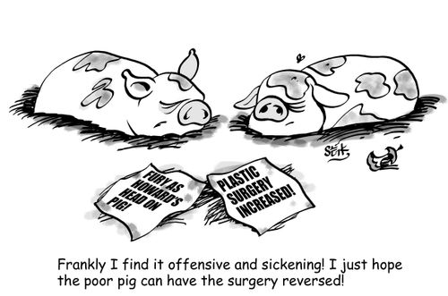 Frankly I find it offensive and sickening! I just hope the poor pig can have the surgery reversed!
