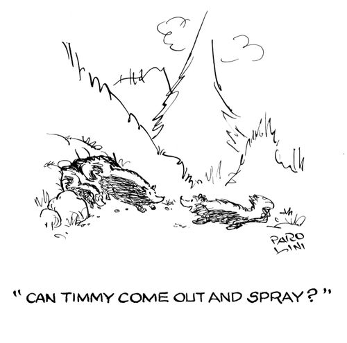 'Can Timmy come out and spray?'