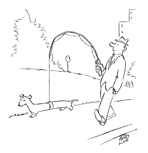 Man walking a long dog on a fishing rod.