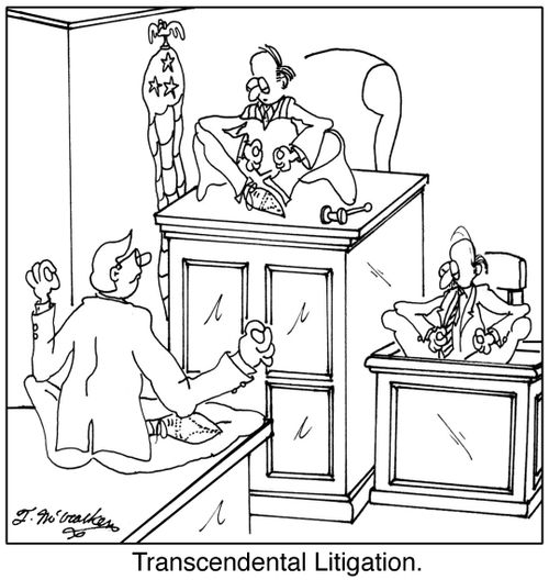 Transcendental Litigation