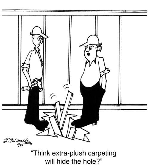 'Think extra-plush carpeting will hide the hole?'