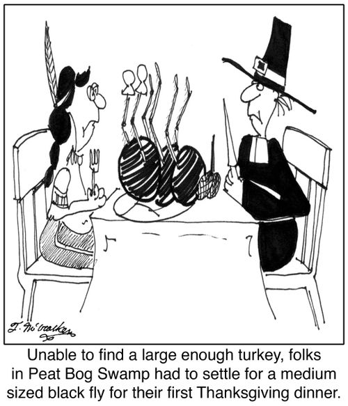 Unable to find a large enough turkey, the folks in Peat Bog Swamp had to settle for a medium size black fly for their first Thanksgiving dinner.