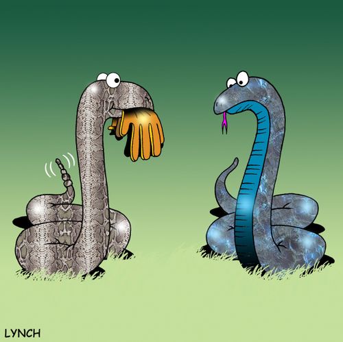 Snake Gloves