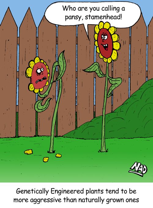 A flower beats up another flower - Genetically Engineered plants tend to be more aggressive than naturally grown ones.