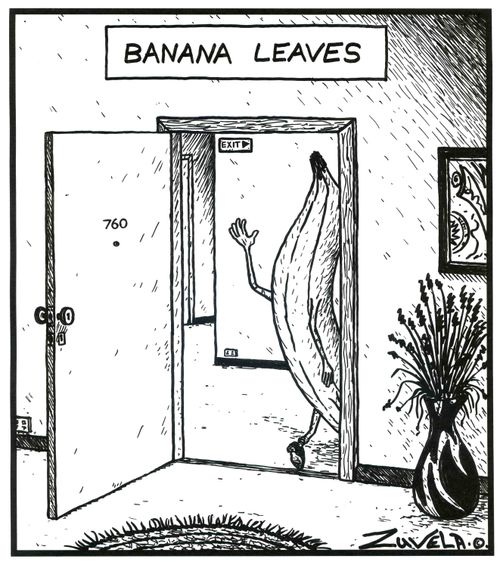 Banana leaves.