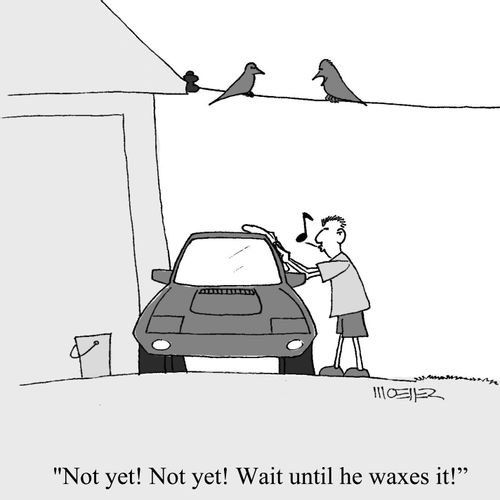 'Not yet! Not yet! Wait until he waxes it!'