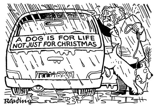 'A dog is for life, not just for Christmas.'