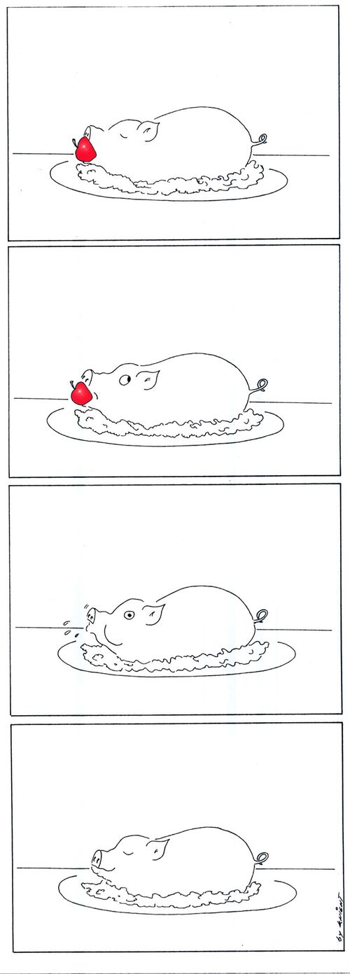 Hungry pig.