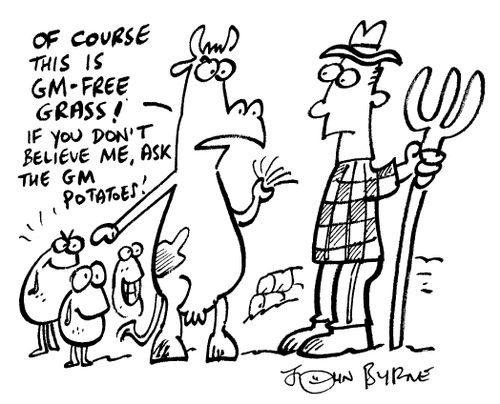 "Of course this is GM free grass..."