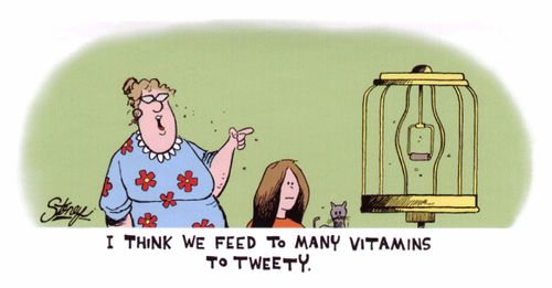 "I think we feed to many vitamins to Tweety"