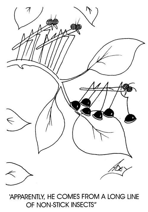 "Apparently,he comes from a long line of non stick insects"