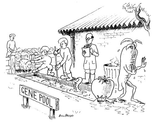 'Gene Pool'