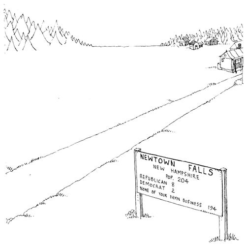 Welcome signs 'Newtown Falls...republican 8,democrat 2, None of your damn buisness 194.