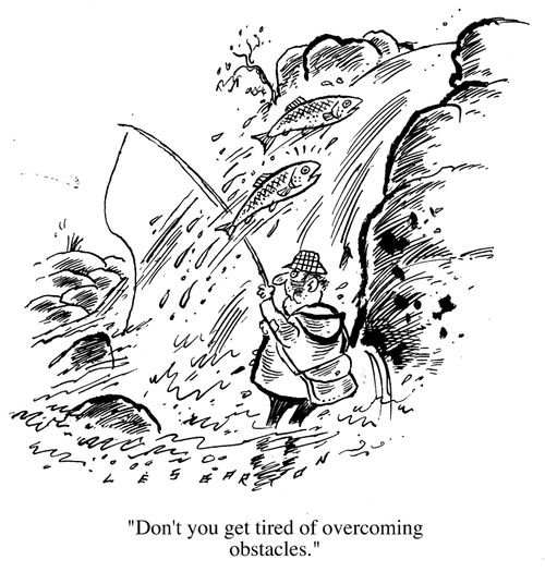 Salmon swimming up-stream, "Don't you get tired of overcoming obstacles"