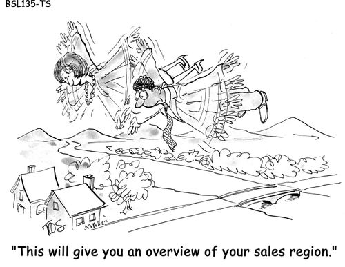 "This will give you an overview of your sales region." 