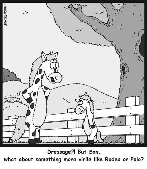 'Dressage? But Son, what about something more virile like Rodeo or Polo?'
