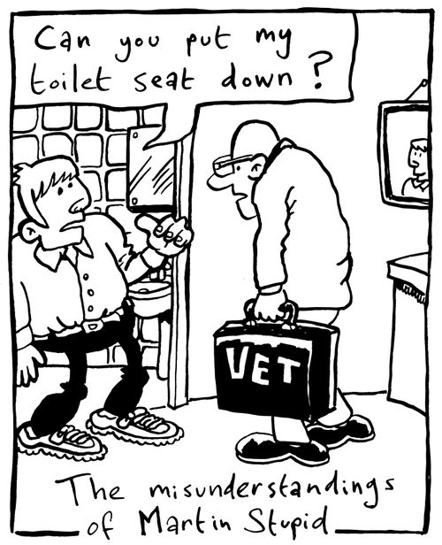 The Misunderstandings of Martin Stupid: Martin and the Vet.