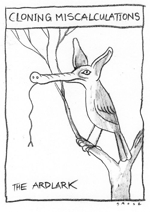 Cloning Miscalculations: The Ardlark.