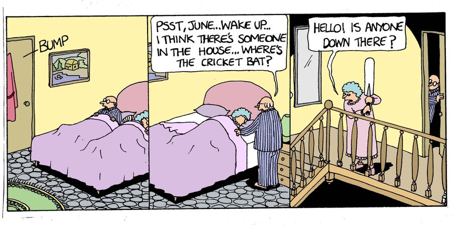 Confronting the burglars.