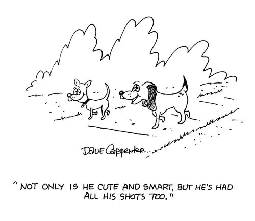 'Not only is he cute and smart but he's had all his shots too.'