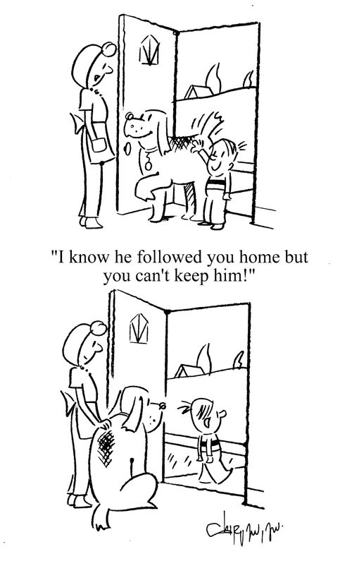 'I know he followed you home but you can't keep him.'