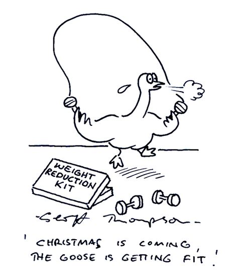 'Christmas is coming, the goose is getting fit.' (weight reduction kit).