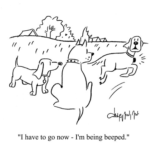 'I have to go now - I'm being beeped.'