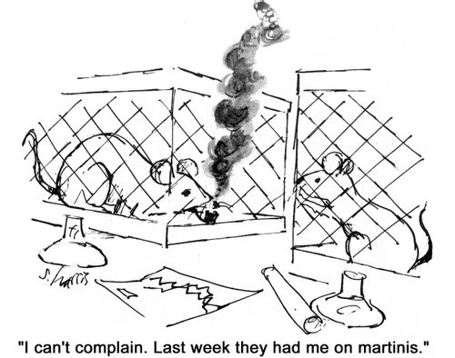 'I can't complain.  Last week they had me on martinis.'