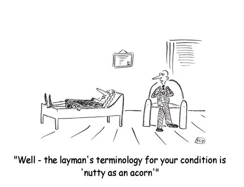 'Well - the layman's terminology for your condition is 'nutty as an acorn''