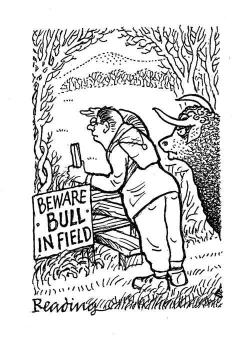 Beware - Bull in field.