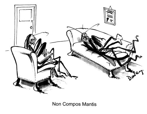Non Compos Mantis