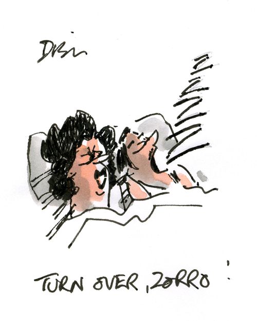 'Turn over, Zorro!'