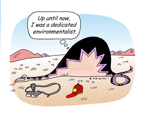 'Up until now, I was a dedicated environmentalist.'