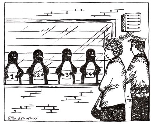 Penguin identity parade