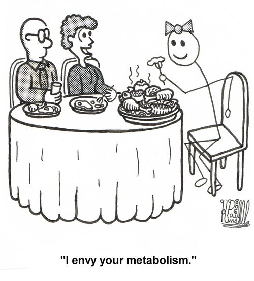 'I envy your metabolism.'