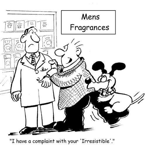 'I have a complaint with your 'Irresistible'.'